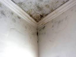 Best Residential Mold Inspection & Testing  in Cornville, AZ