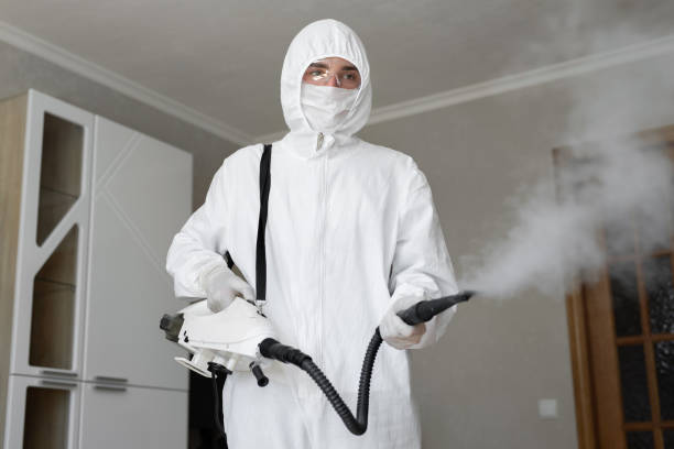 Best Asbestos and Lead Testing During Mold Inspection  in Cornville, AZ